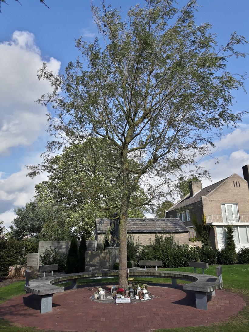 20170916_115045_Richtone(HDR)